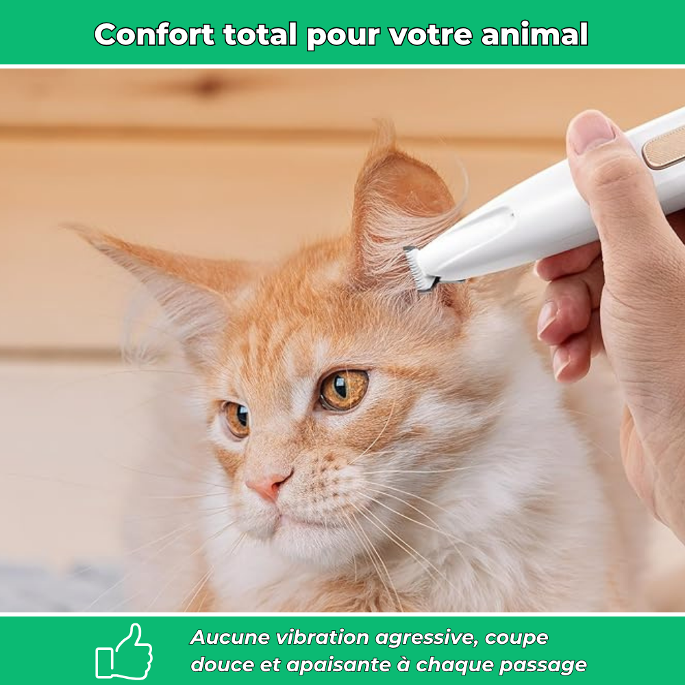 Tondeuse silencieuse multi-zones pour chiens et chats