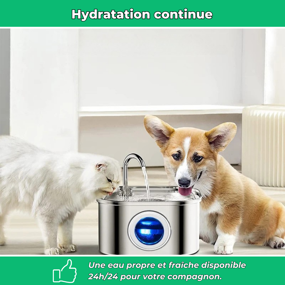 Fontaine à eau en inox 3,2L pour chat – Silencieuse et avec filtre intégré