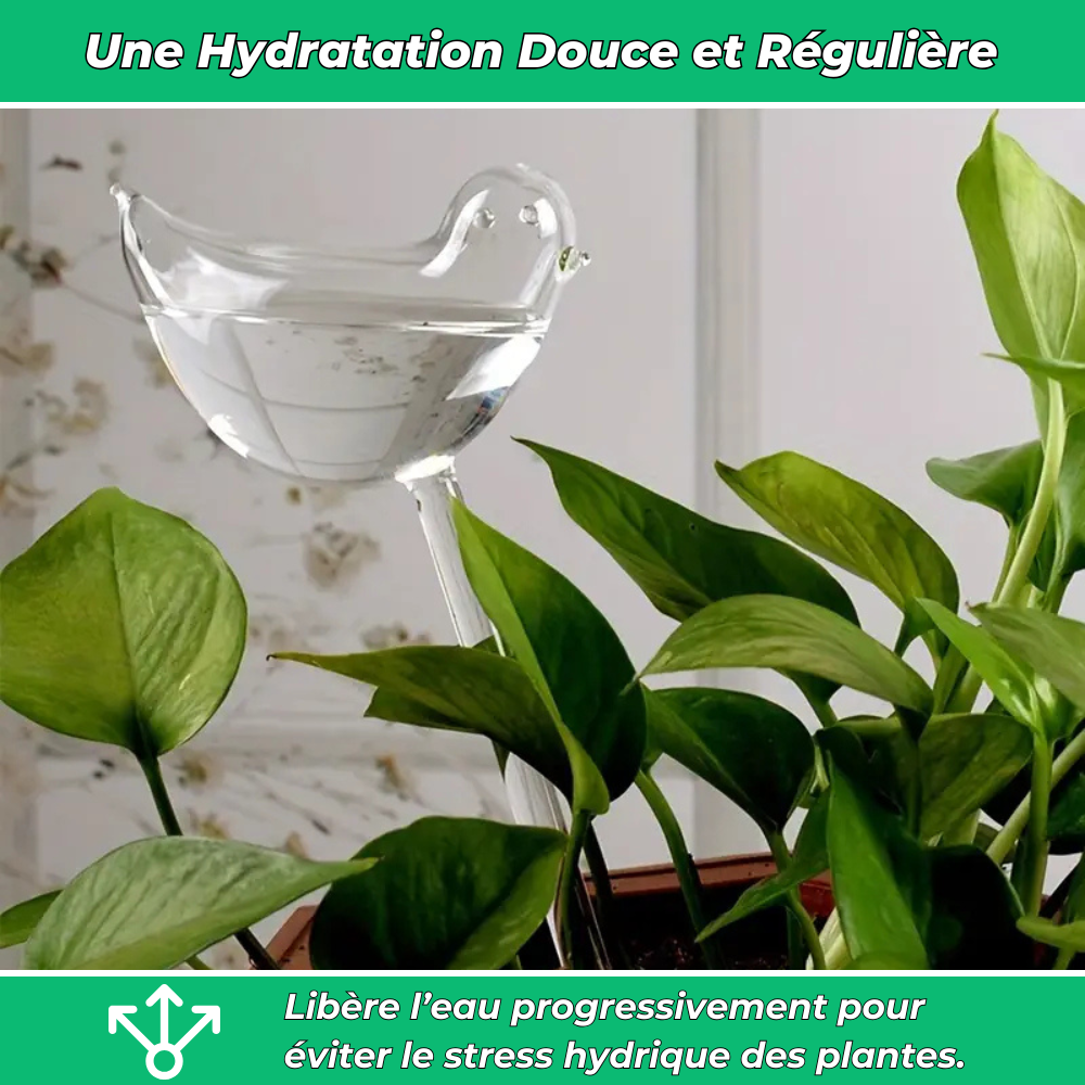 Arrosage automatiques en forme d’oiseau – Hydratation continue pour vos plantes