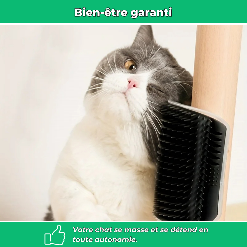 Brosse murale massante pour chat