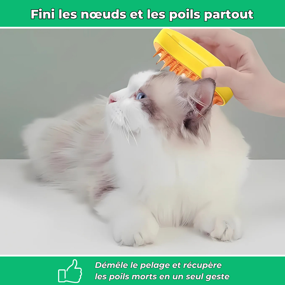 PetiBrosse – Brosse démêlante et anti-poils pour animaux