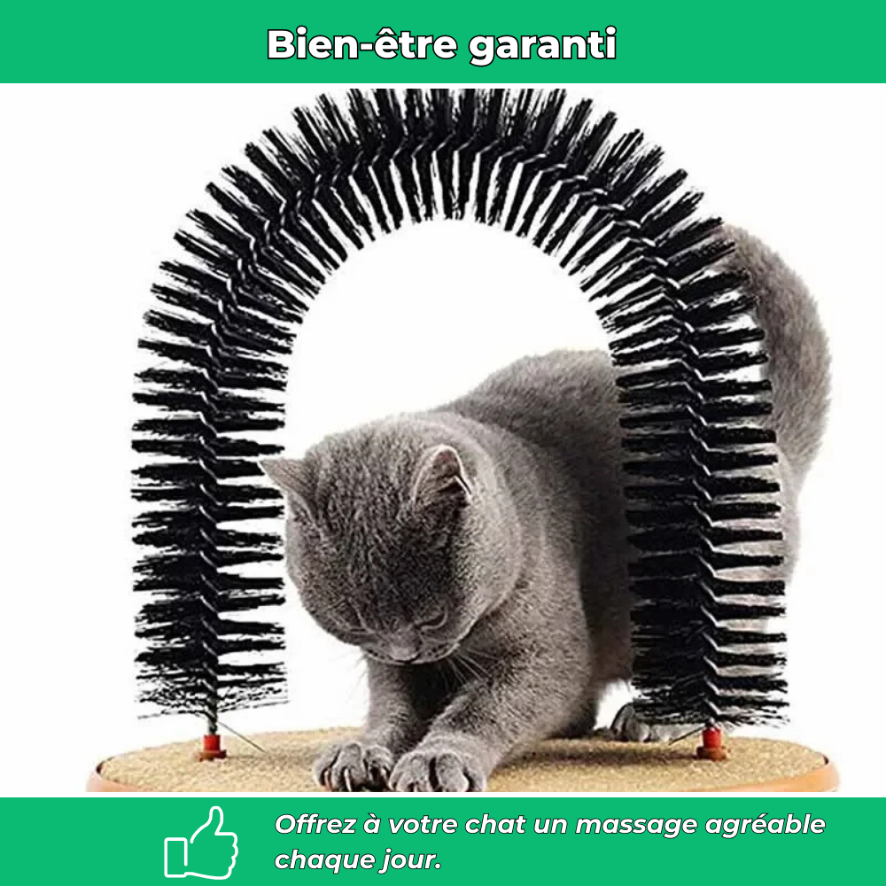 Arche de massage et brossage pour chat – Élimine poils et réduit le stress
