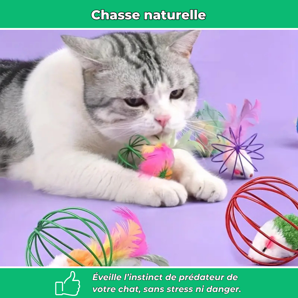 Balle cage interactive avec souris pour chat