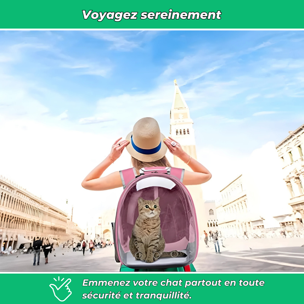 Sac à dos respirant pour chat – Fenêtre transparente et confort de transport