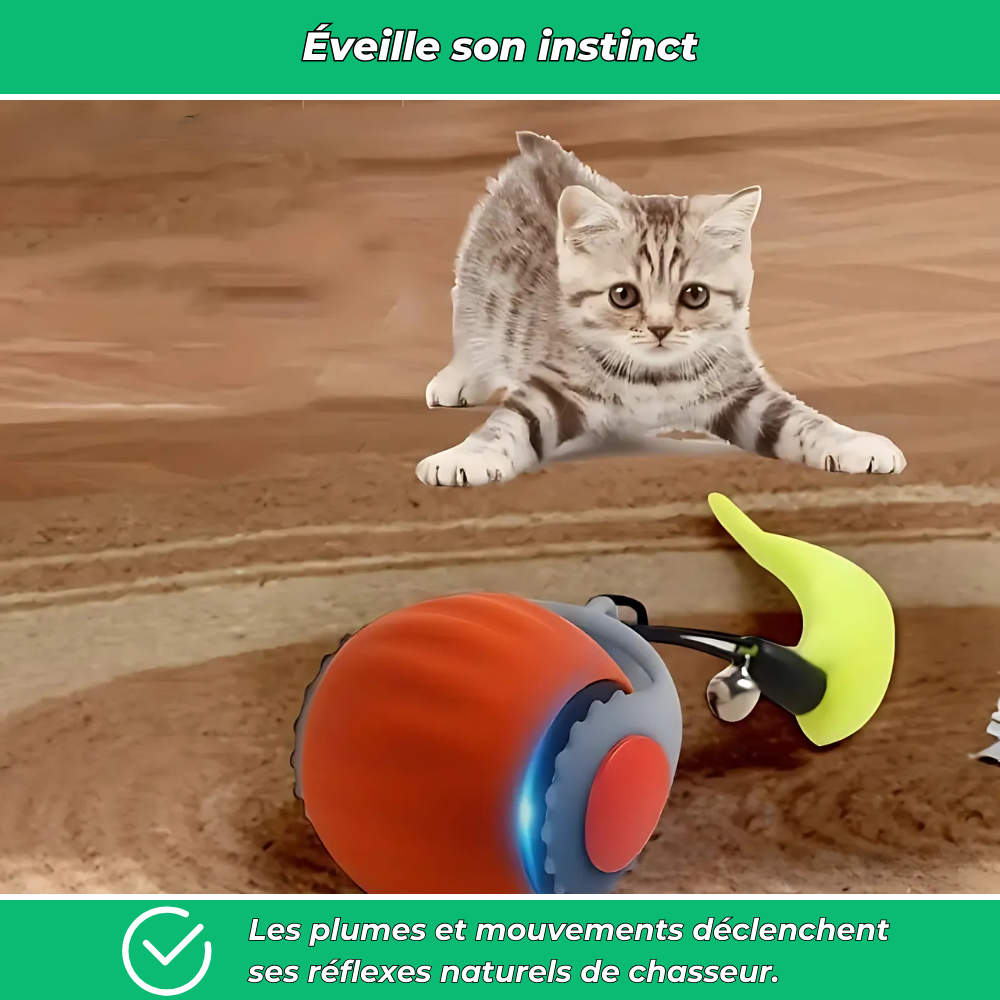 Balle interactive électrique rechargeable pour chat avec plumes et roulement automatique
