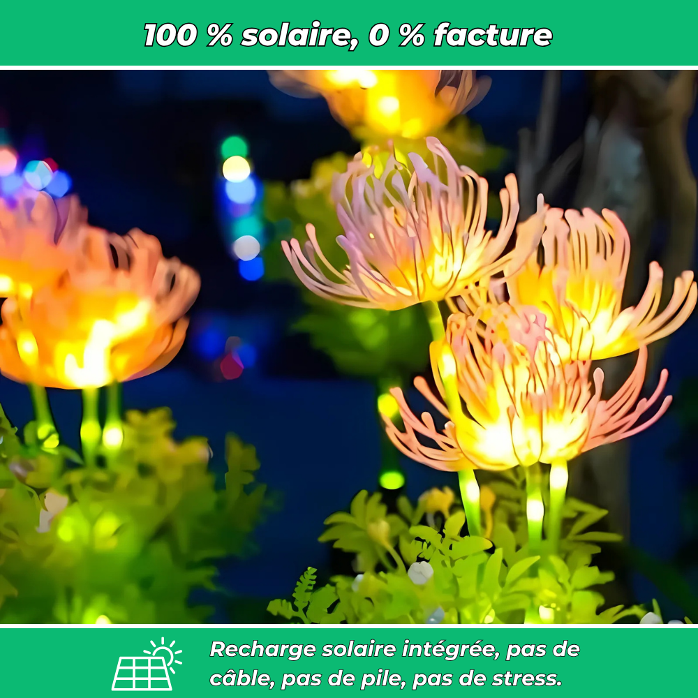 Lumières solaires florales décoratives pour jardin (Lot de 2)