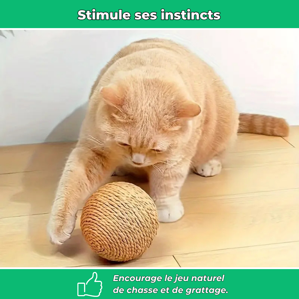 Balle à gratter interactive pour chats