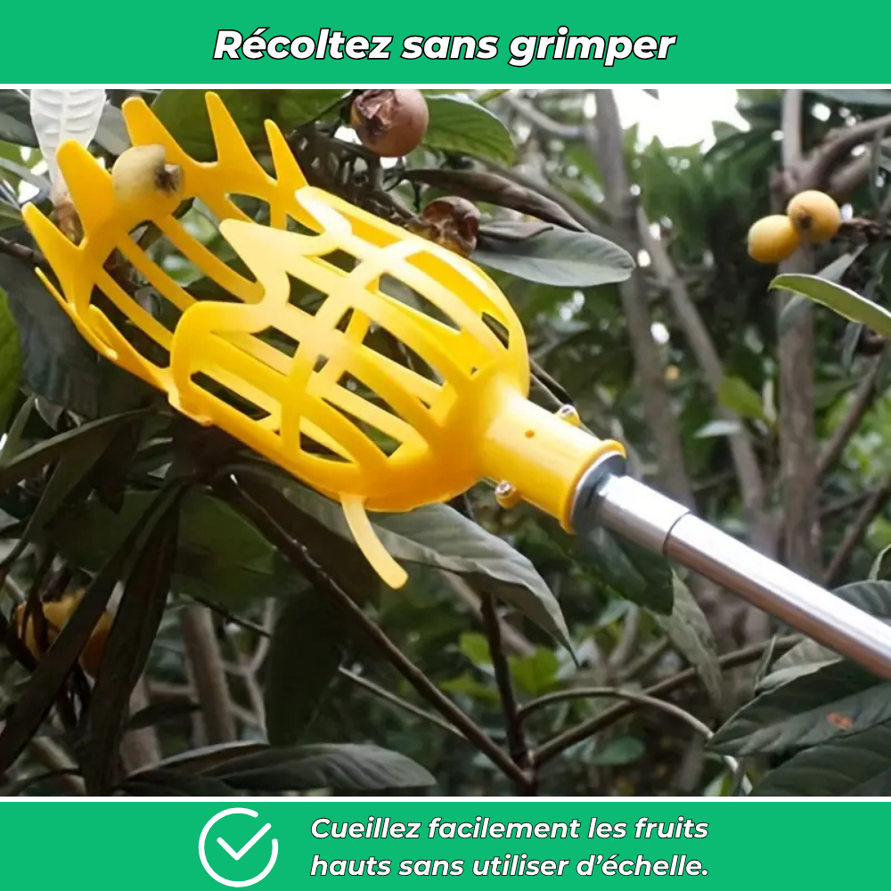 Fruito’Clip – Cueilleur de fruits manuel pour jardin sans échelle
