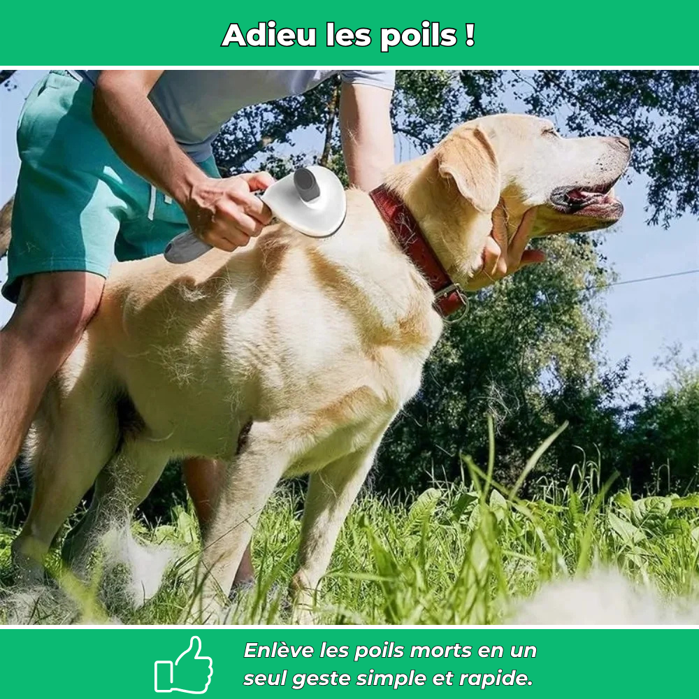 Brosse pour animaux efficace et facile à nettoyer