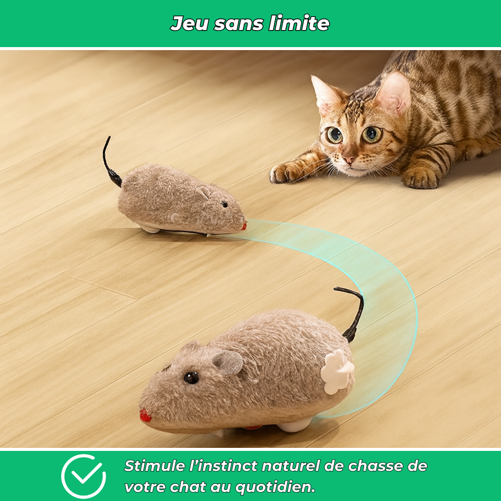 Souris mécaniques jouets pour chat (lot de 4)