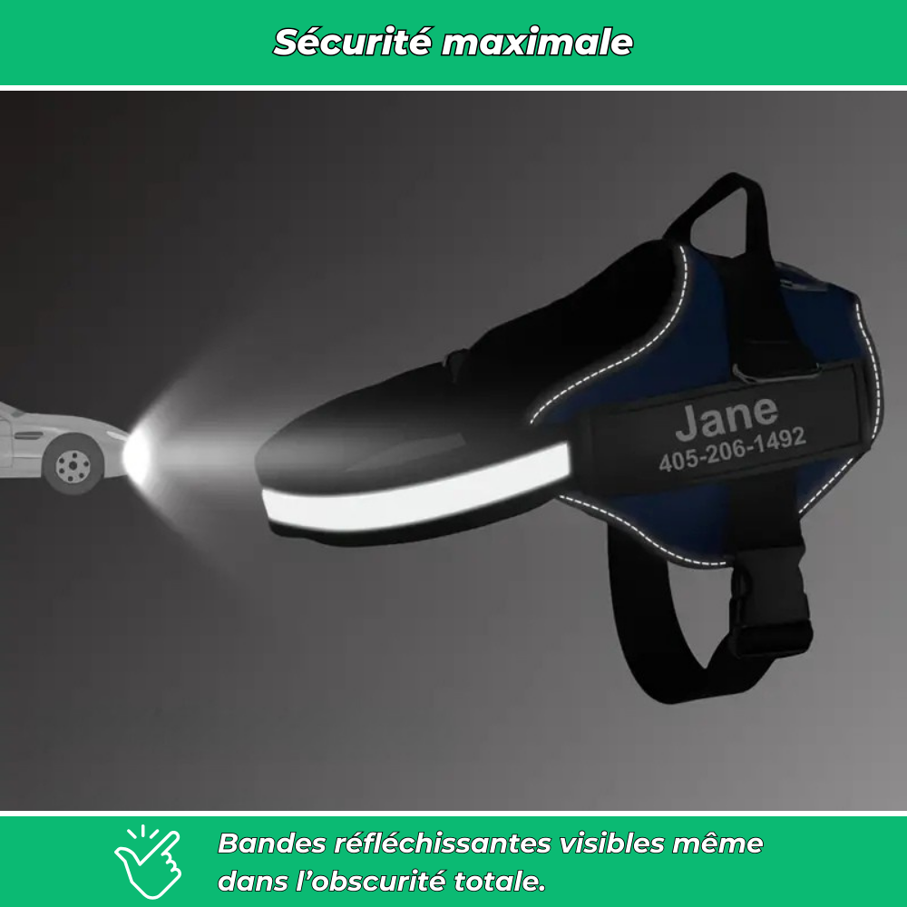 Harnais chien nom personnalisé – réglable et anti-étranglement