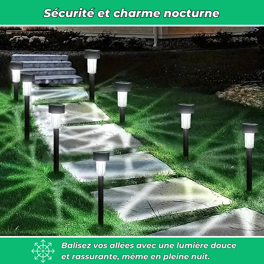 Lot de 10 lampes solaires décoratives pour jardin