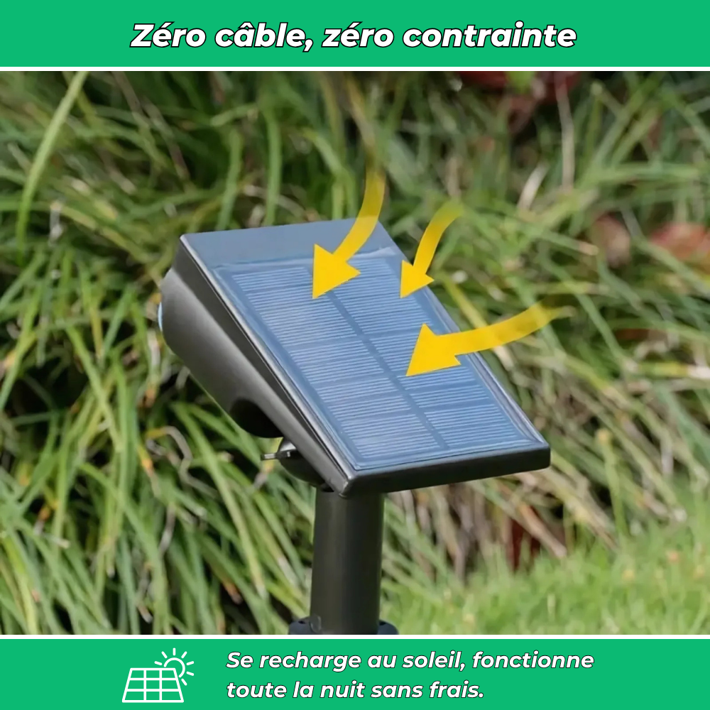 Lot de 4 projecteurs solaires sur piquet pour jardin