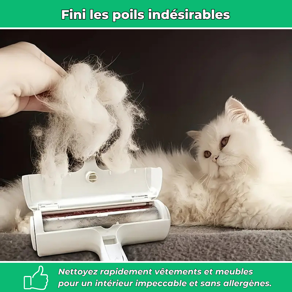 Brosse Anti-Poils  – Élimine les Poils de Chats et Chiens sur Vêtements et Canapés