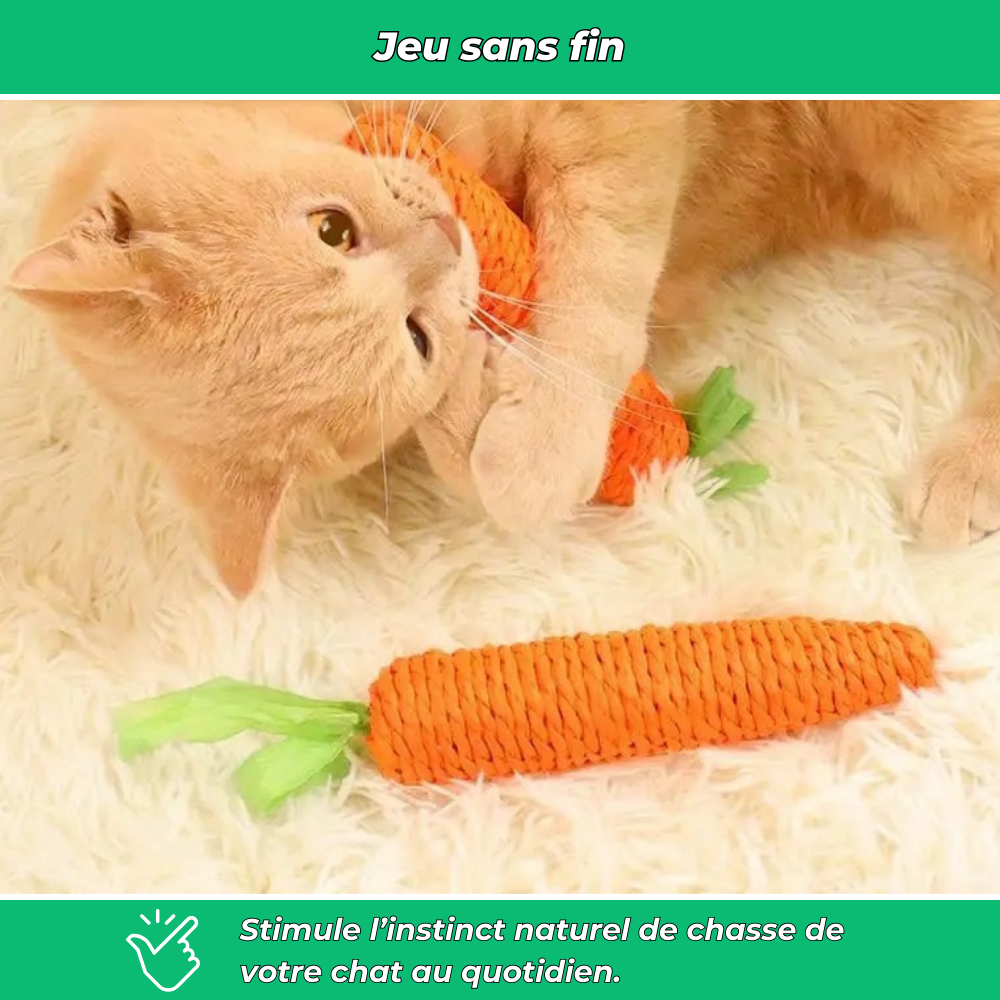 Lot de 2 jouets carotte pour chat – interactifs avec cloche intégrée