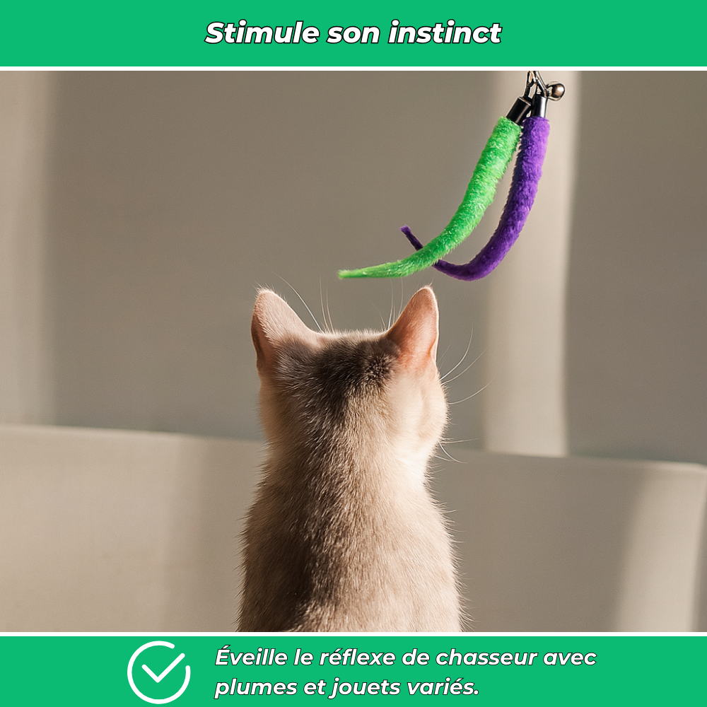 Lot 12 jouets interactifs pour chat avec plumes et bâtons