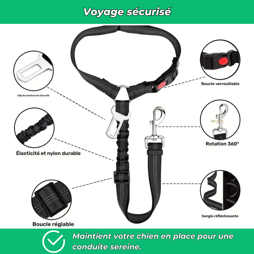 Ceinture de sécurité auto pour chien – Polyester résistant