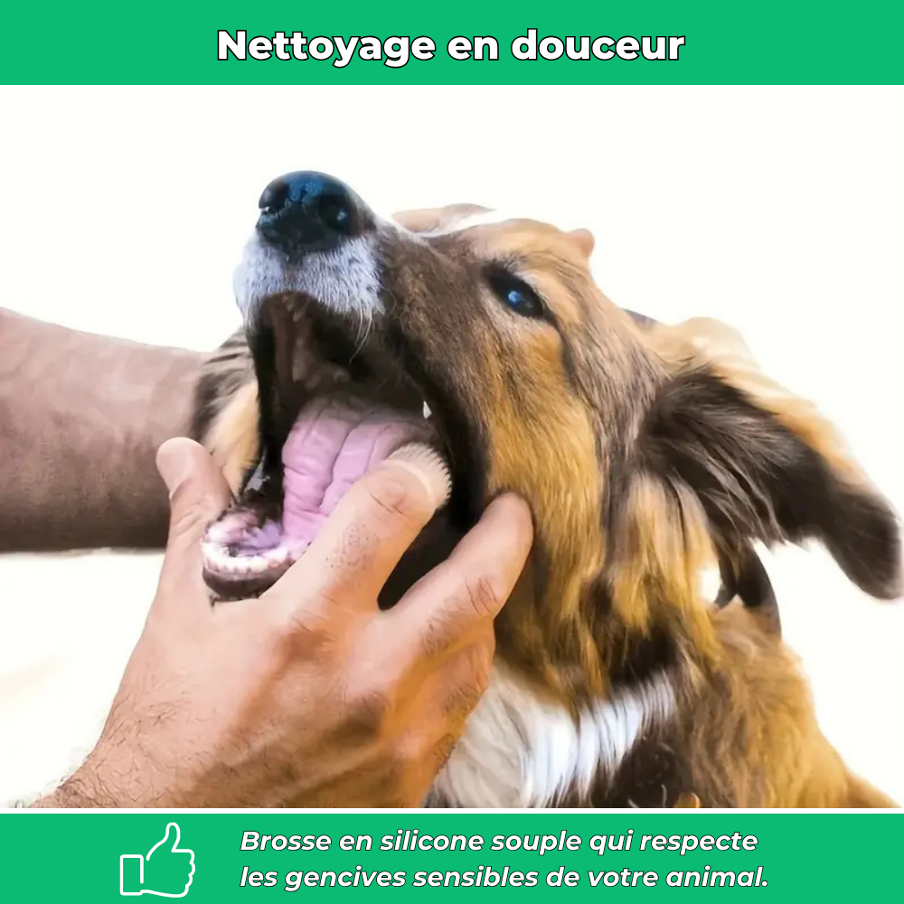 Brosse à dents en silicone pour chiens et chats