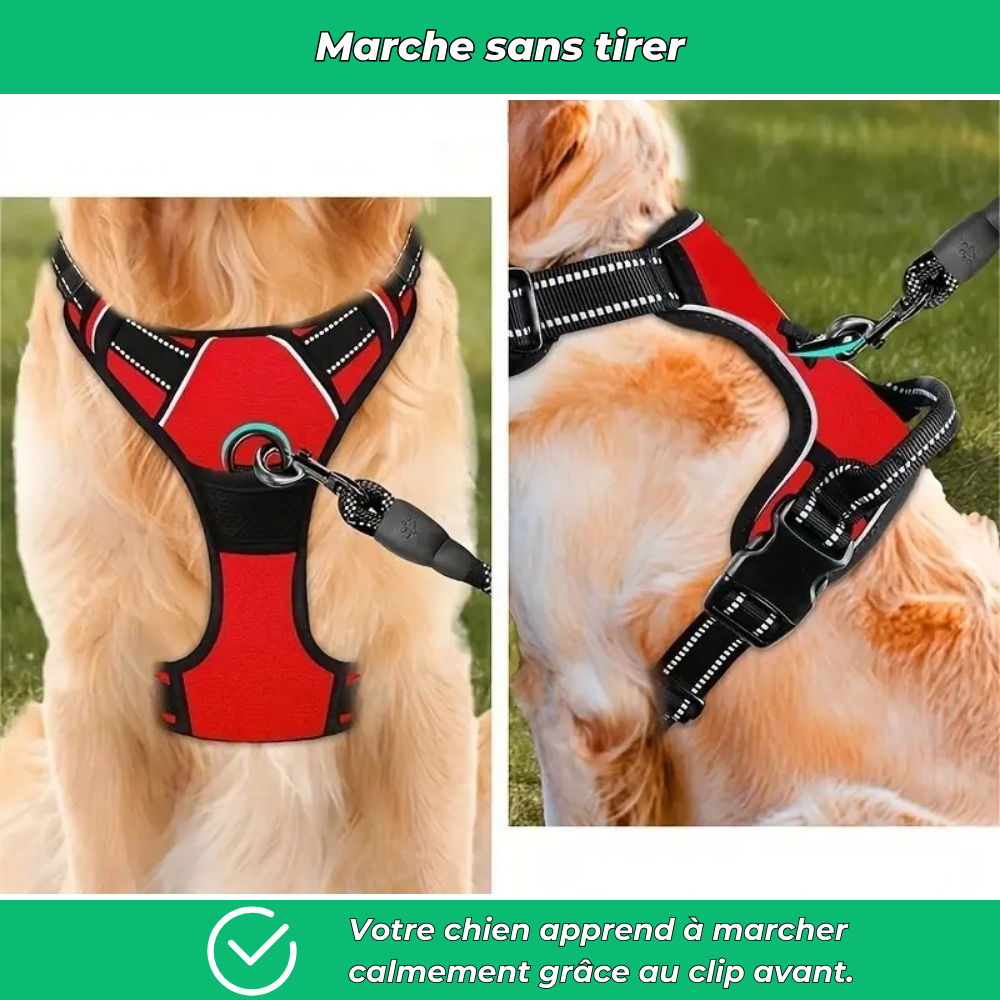 Harnais chien anti-traction réfléchissant avec poignée – Grand chien