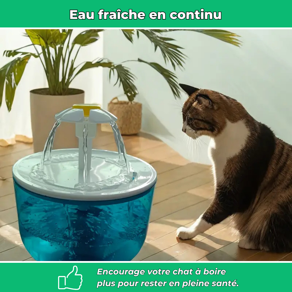 AquaChat - Fontaine filtrante à eau douce pour chats