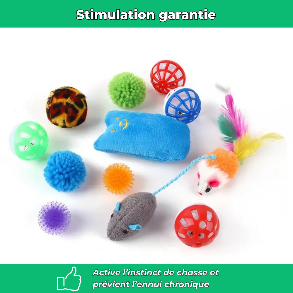 Lot de jouets interactifs pour chat