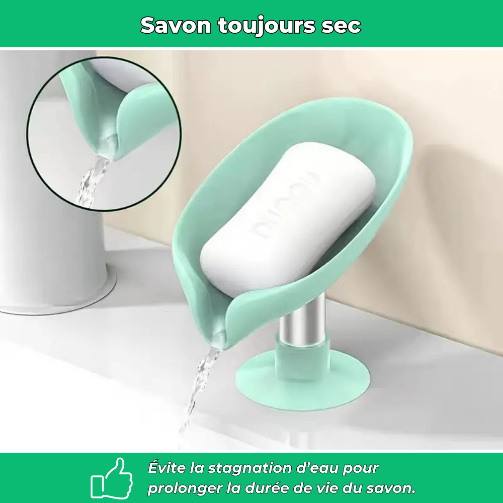 Porte-savon feuille auto-drainant