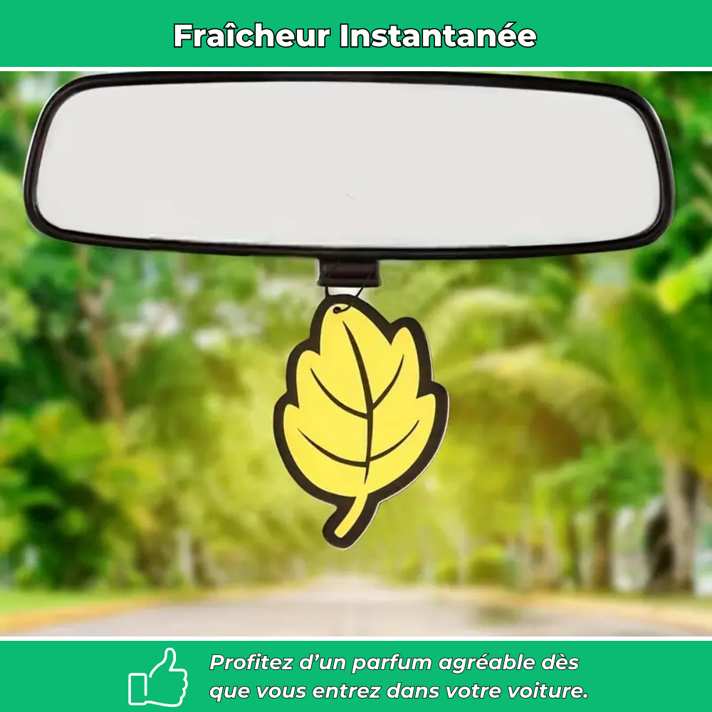 Lot de désodorisants voiture en forme de feuille