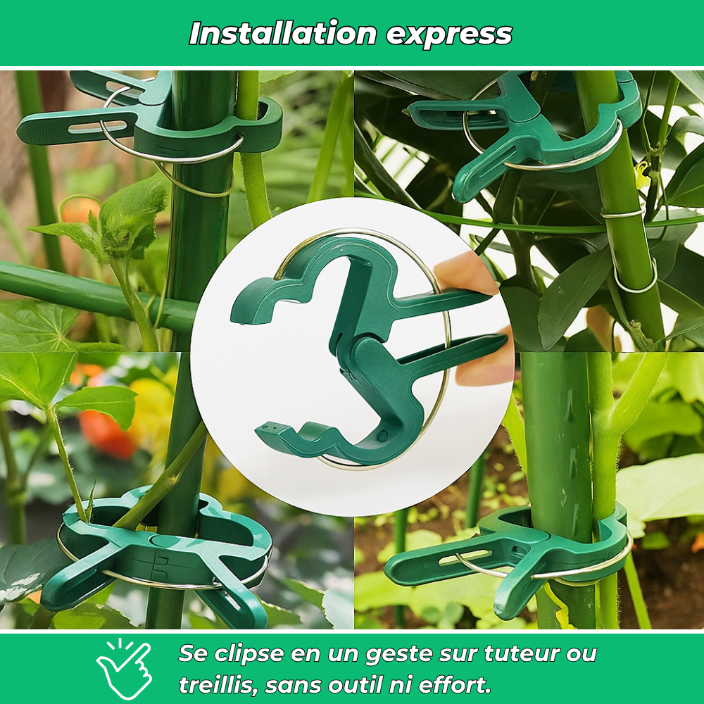 Clip’Vert – 20 attaches de jardin réglables pour tuteur et serre