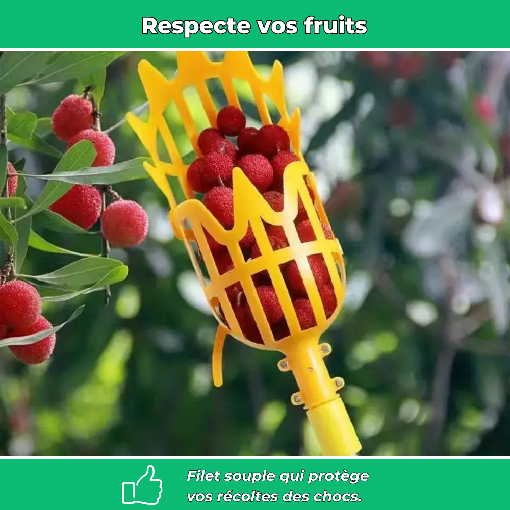 Fruito’Clip – Cueilleur de fruits manuel pour jardin sans échelle