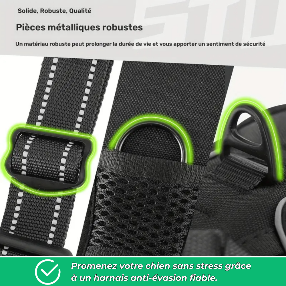 Harnais anti-évasion chien + laisse et distributeur – réglable et réfléchissant
