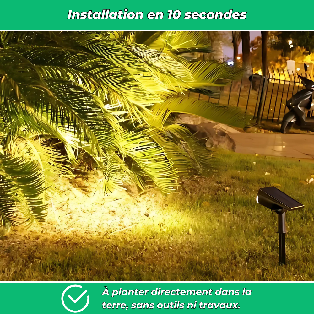 Lot de 4 projecteurs solaires sur piquet pour jardin