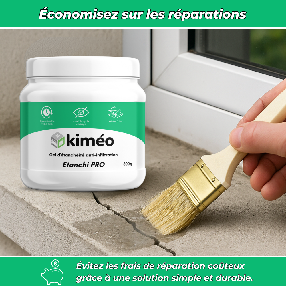 Etanchi PRO | Gel d'étanchéité anti-infiltration tout usages | 300g