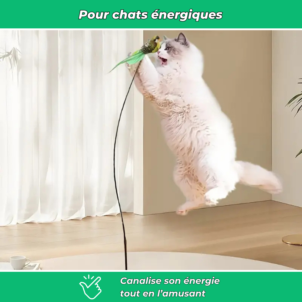 Jouet interactif à oiseau pour chats actifs