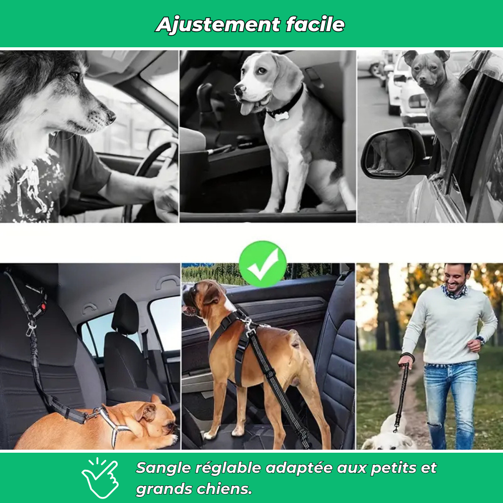 Ceinture de sécurité auto pour chien – Polyester résistant