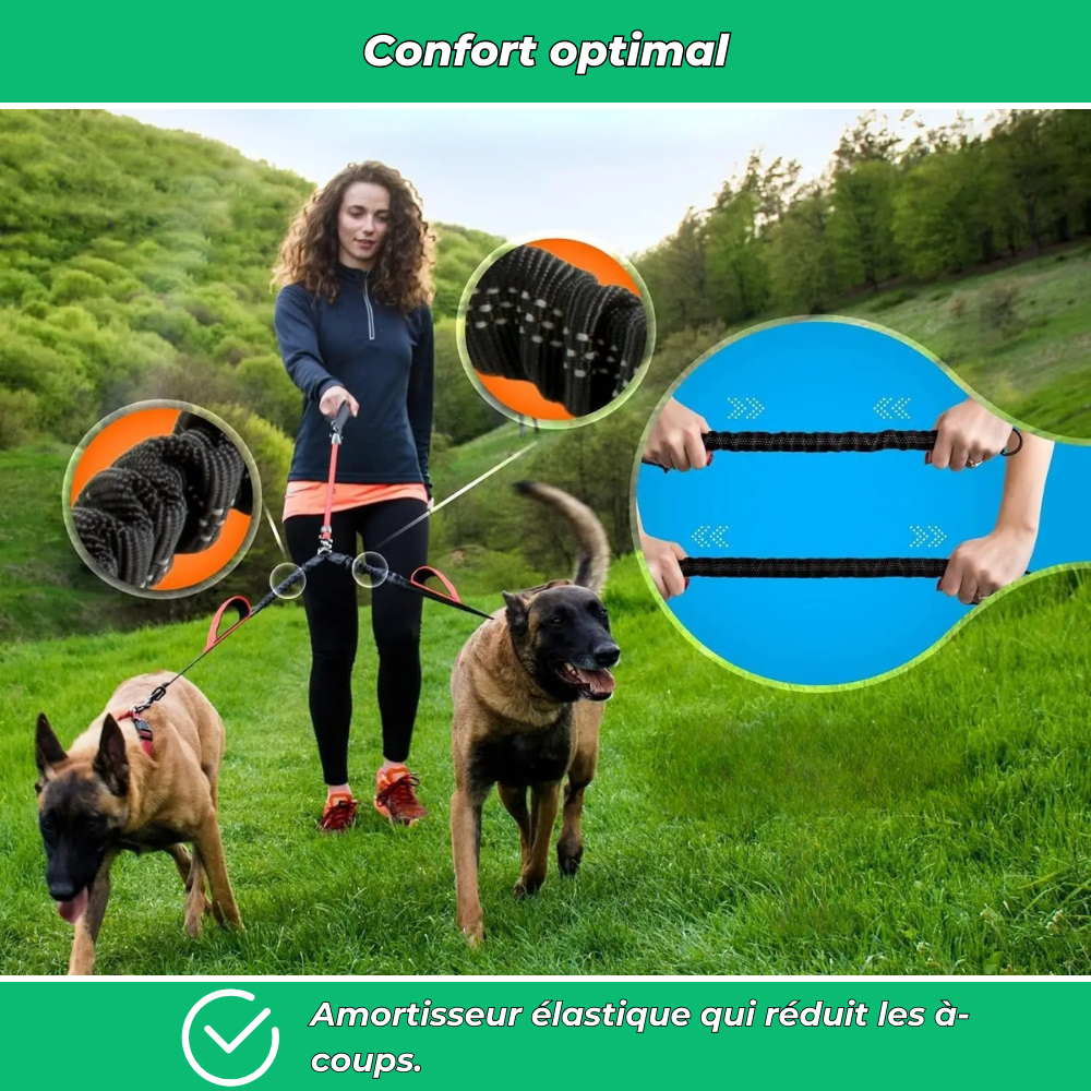 Laisse double pour chiens – Anti-enchevêtrement 360°, réglable et réfléchissante