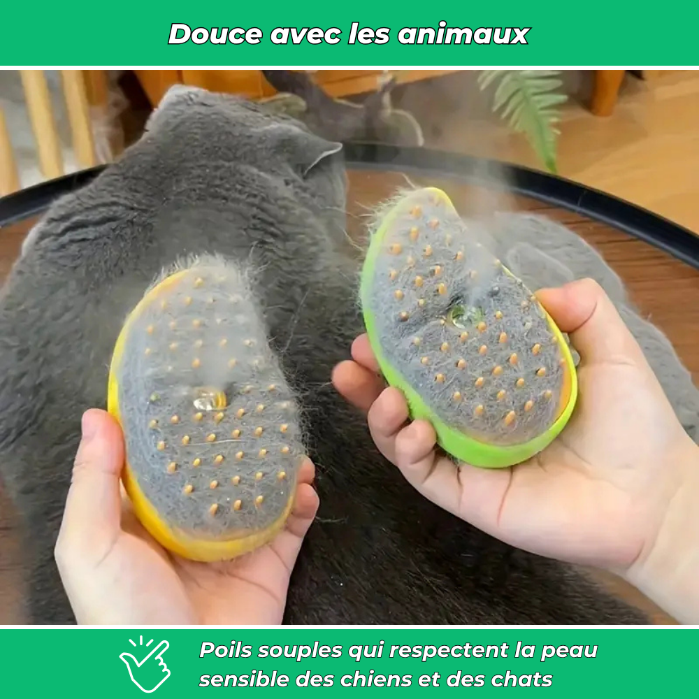 PetiBrosse – Brosse démêlante et anti-poils pour animaux