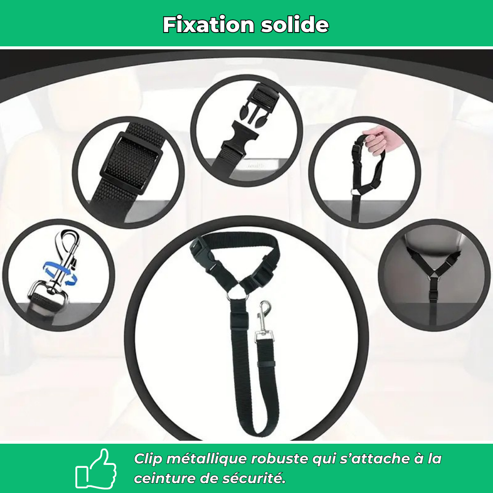 Ceinture de sécurité auto pour chien – Laisse ajustable robuste
