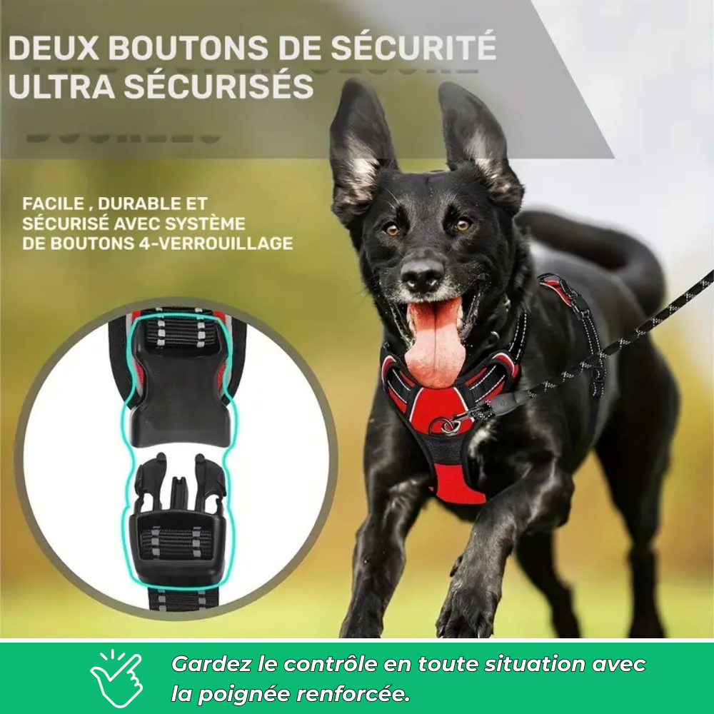 Harnais chien anti-traction réfléchissant avec poignée – Grand chien