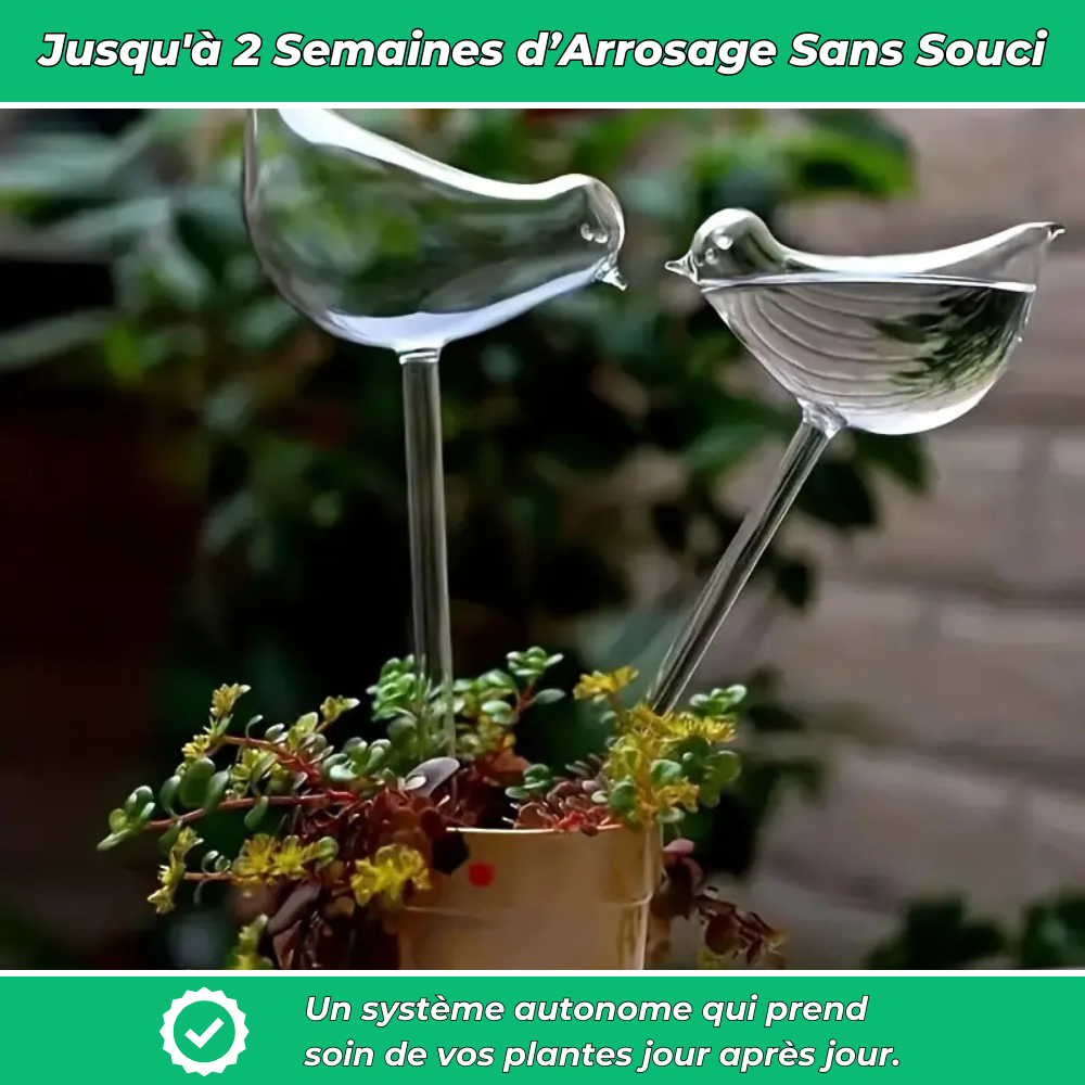Arrosage automatiques en forme d’oiseau – Hydratation continue pour vos plantes