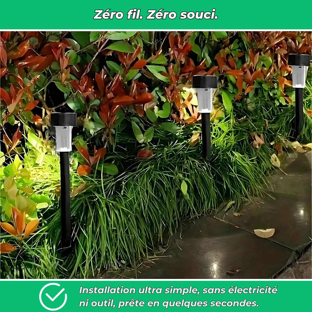 Lot de 10 lampes solaires décoratives pour jardin