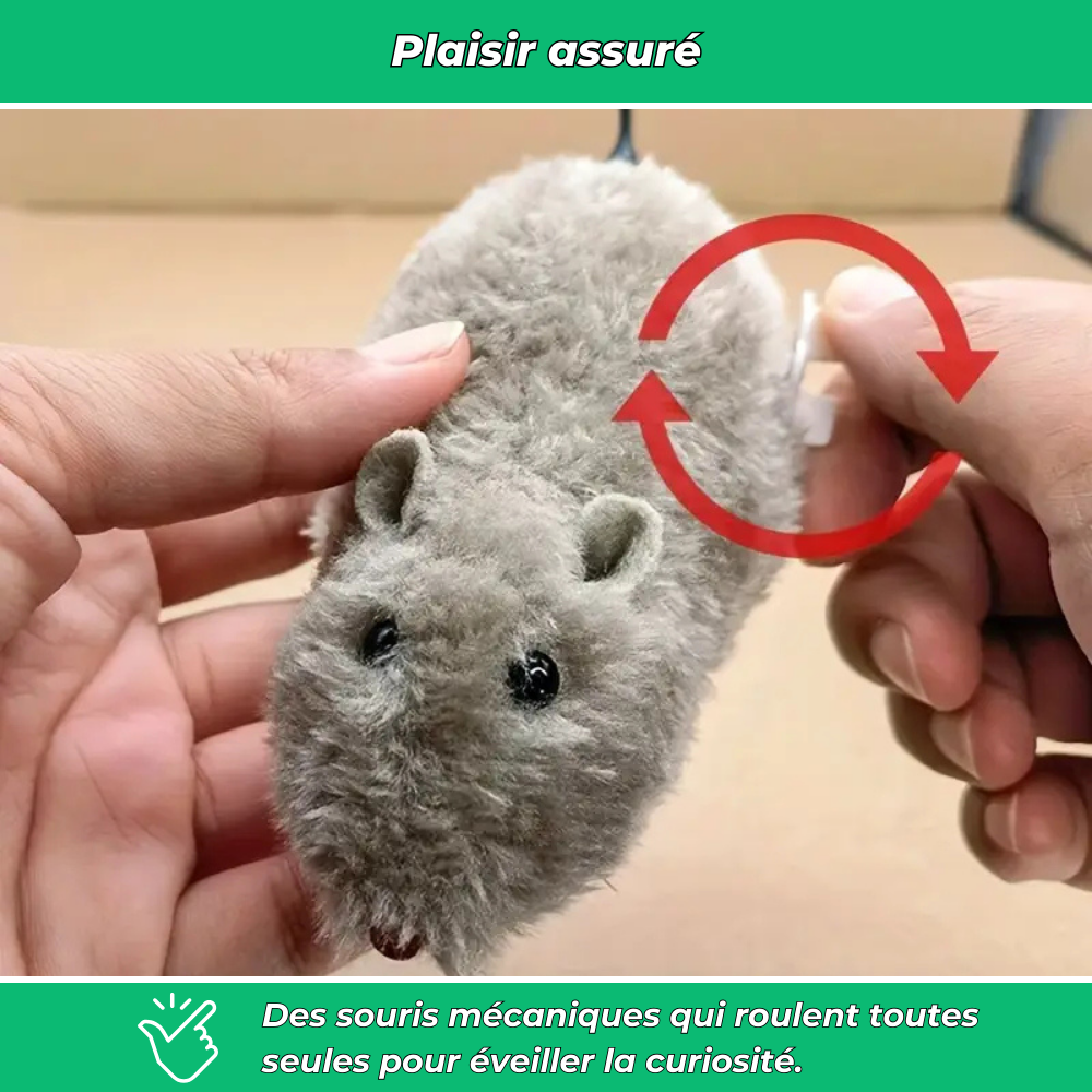 Souris mécaniques jouets pour chat (lot de 4)