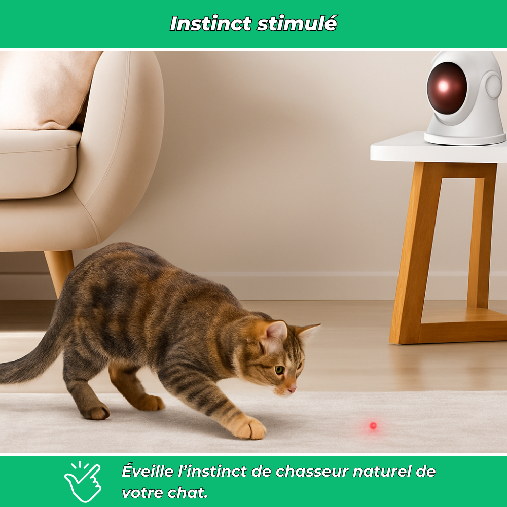 Jouet laser automatique interactif pour chats d’intérieur