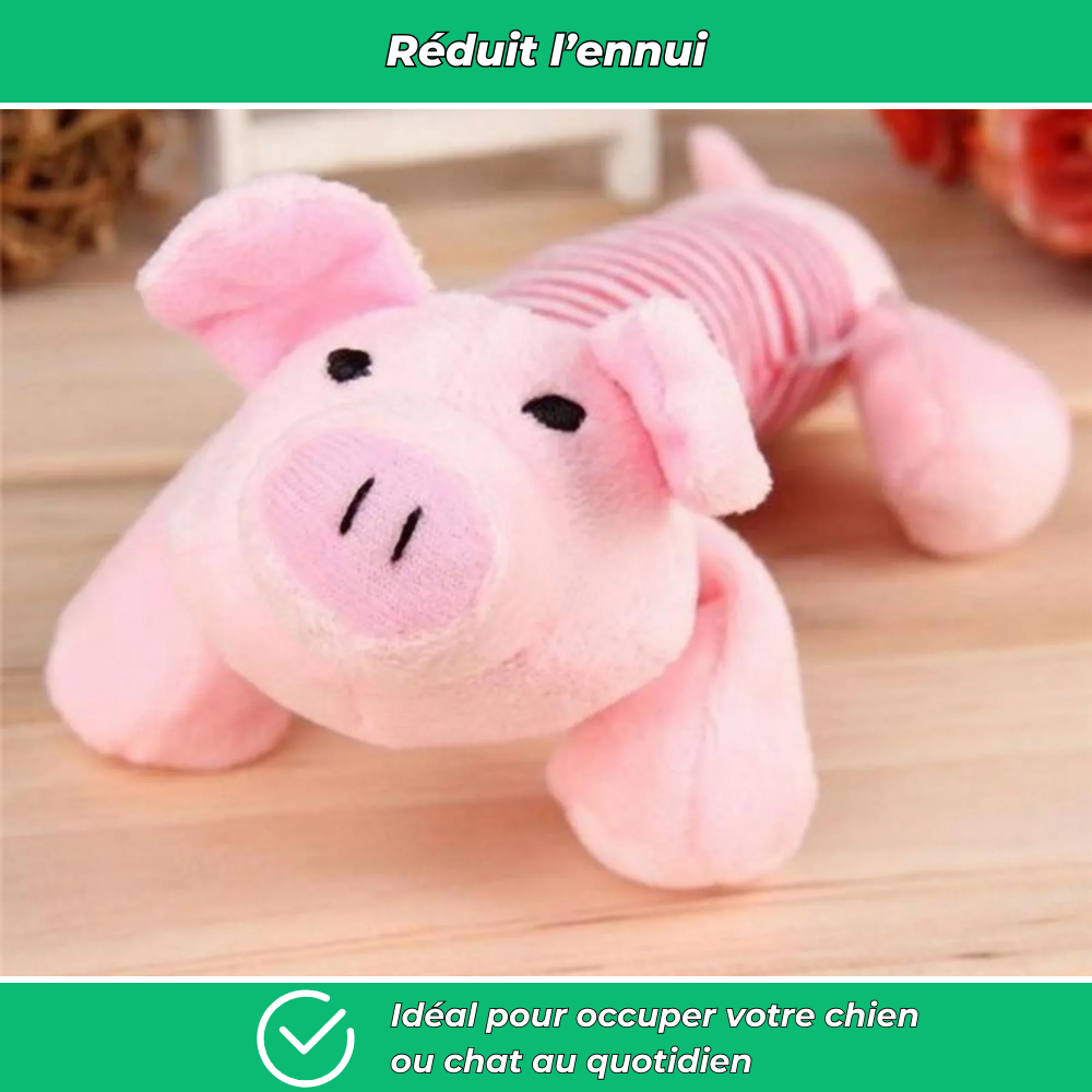 Jouet en peluche grinçant pour animaux
