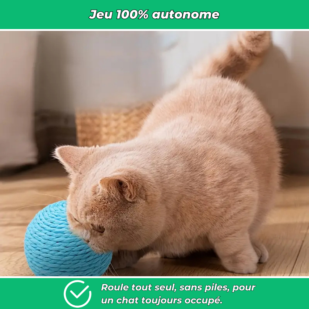 Balle à gratter interactive pour chats