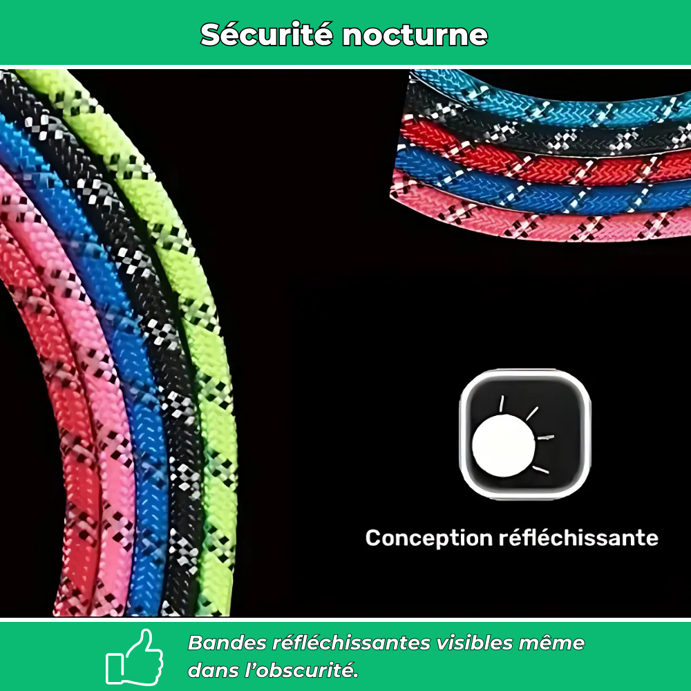 Laisse réfléchissante robuste pour chien – Poignée rembourrée, double traction, sécurité et confort