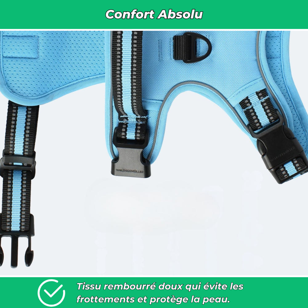 Harnais chien anti-fuite réglable + laisse 1,5 m réfléchissante