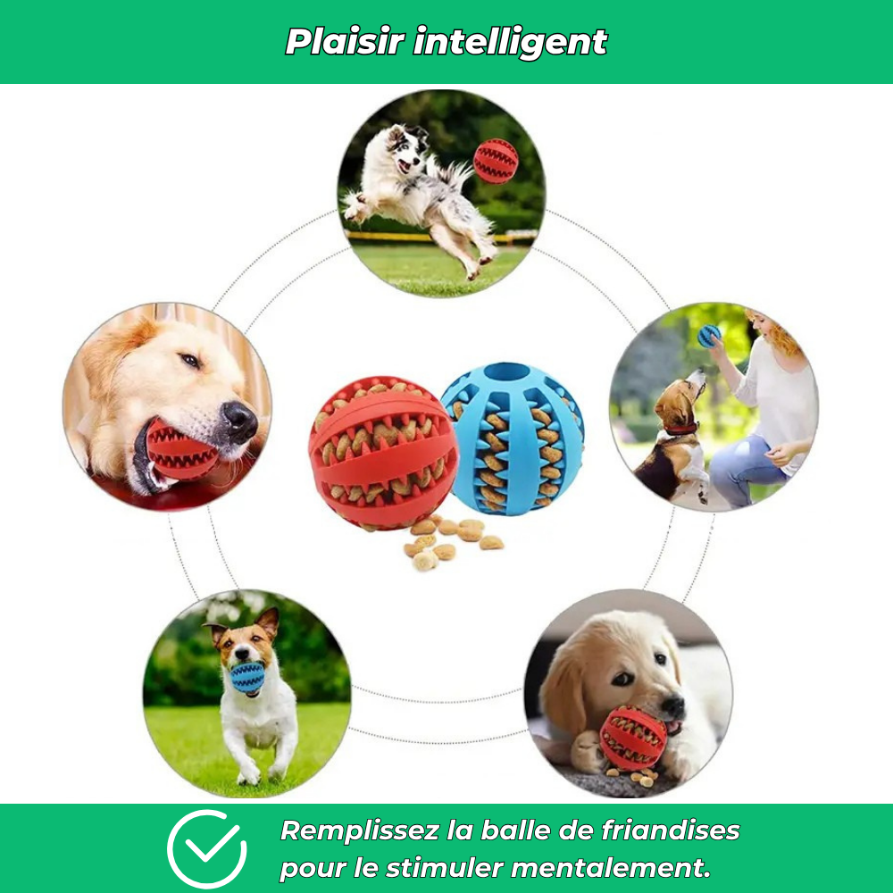 Balle en caoutchouc à mâcher pour chien