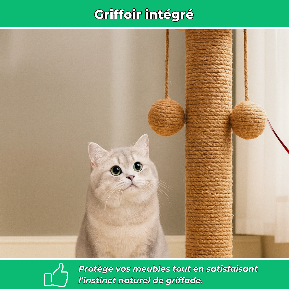 Griffoir Interactif Multifonction pour Chats – Jouet, Grattoir et Antistress