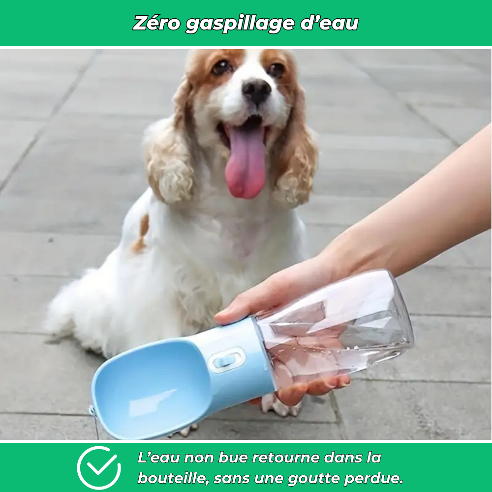 Gourde de voyage avec bol intégré pour chien