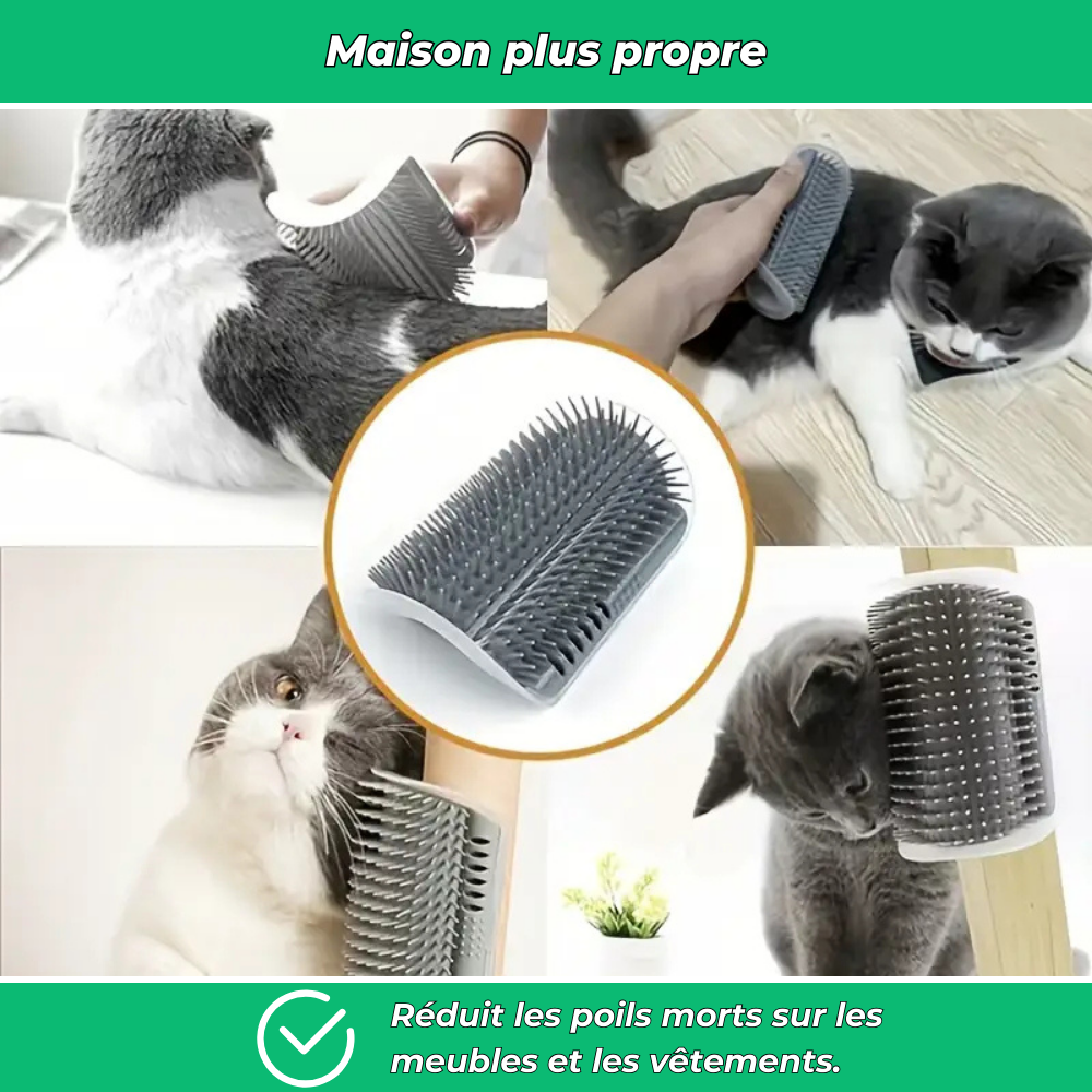 Brosse murale massante pour chat
